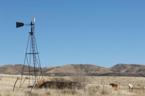 Horses coming to a rancher's windmill.